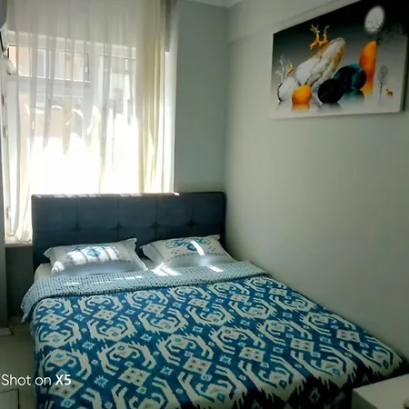 Large Luxurious Flat In Istanbul
