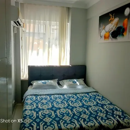 Large Luxurious Flat In